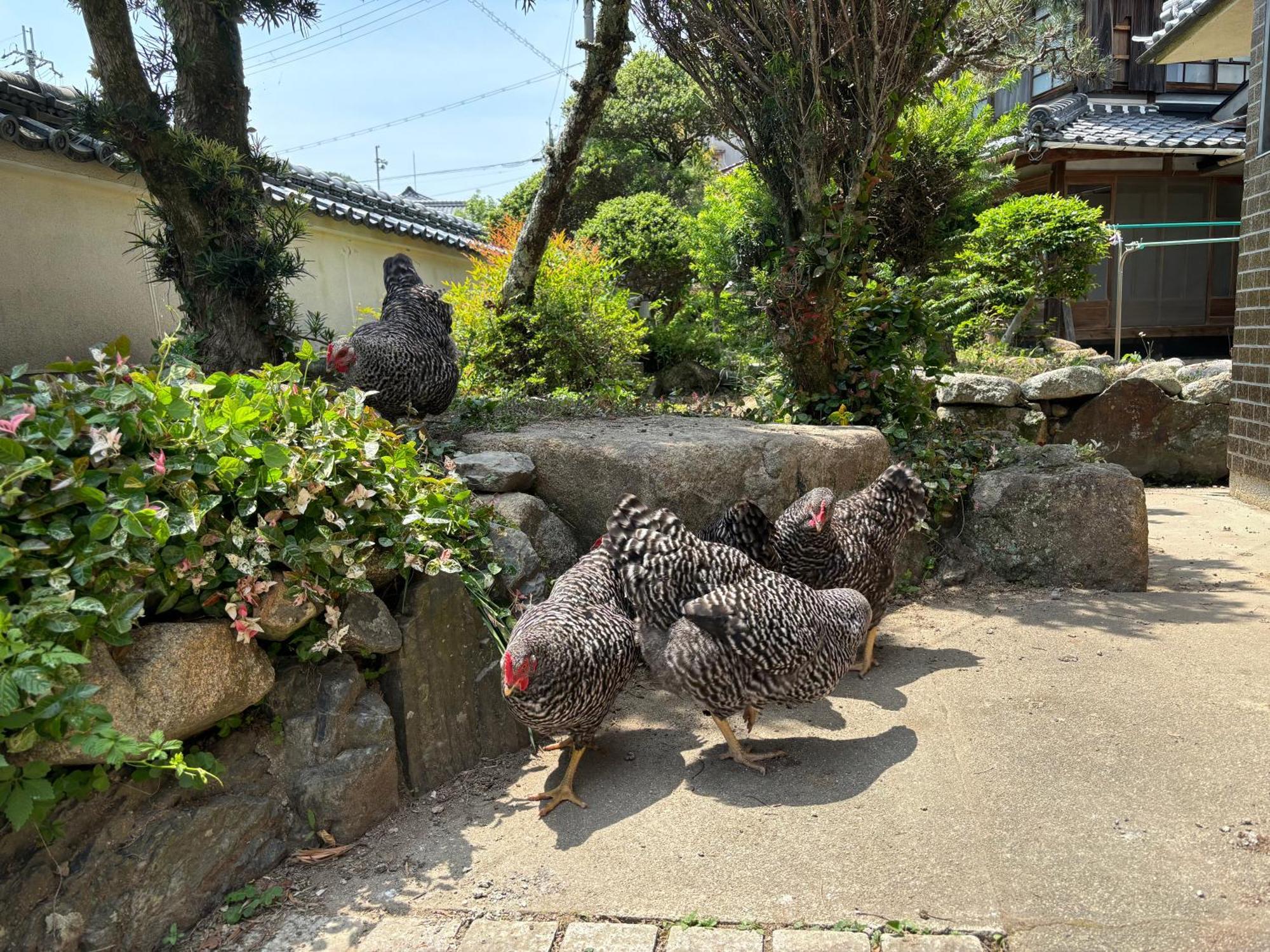 Osaka Nose Farmer'S Guest House　Yasuda Farm 외부 사진